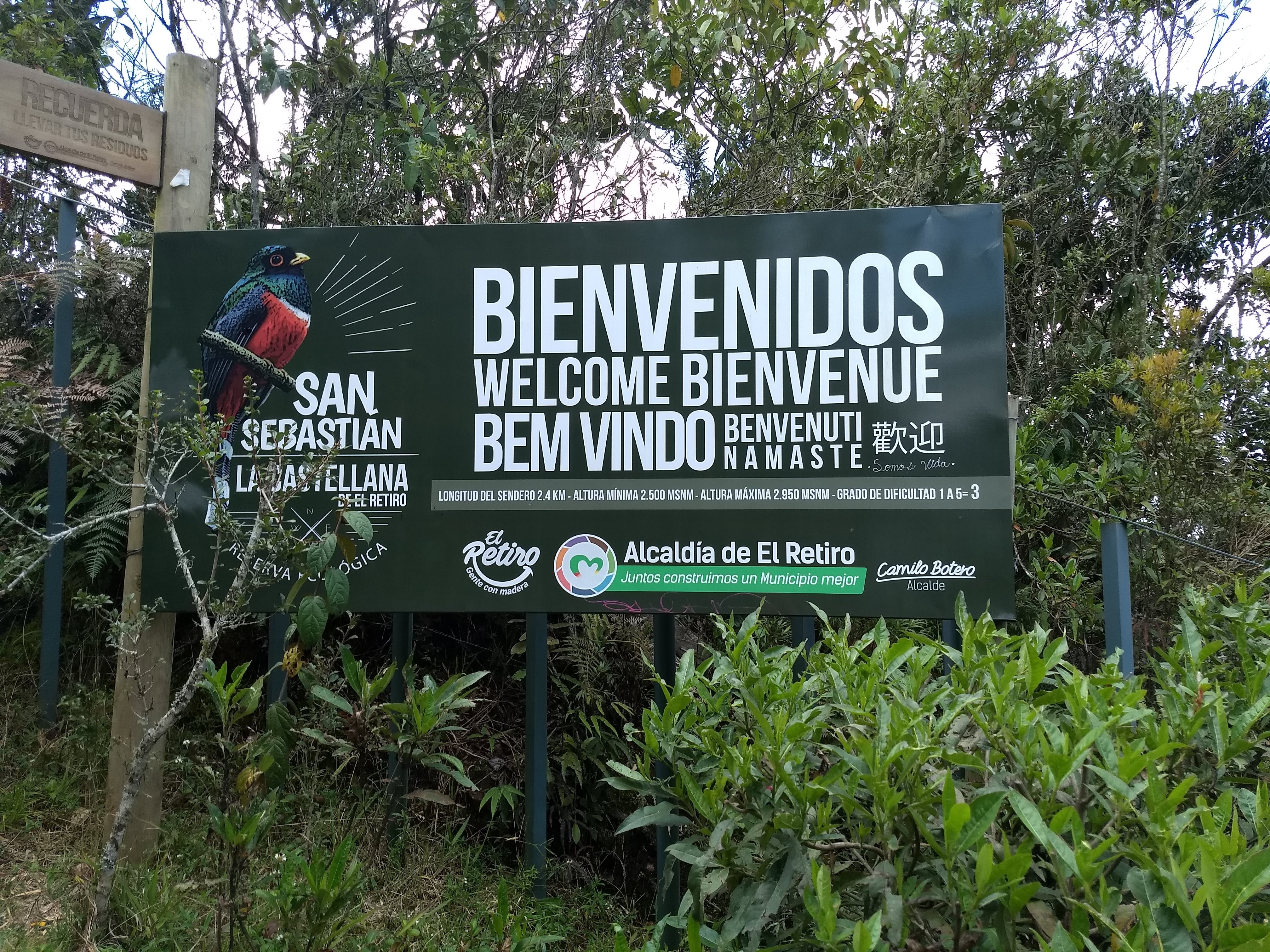 Colombian Orchid Adventures - San Sebastian La Castellana Cloud Forest 2019