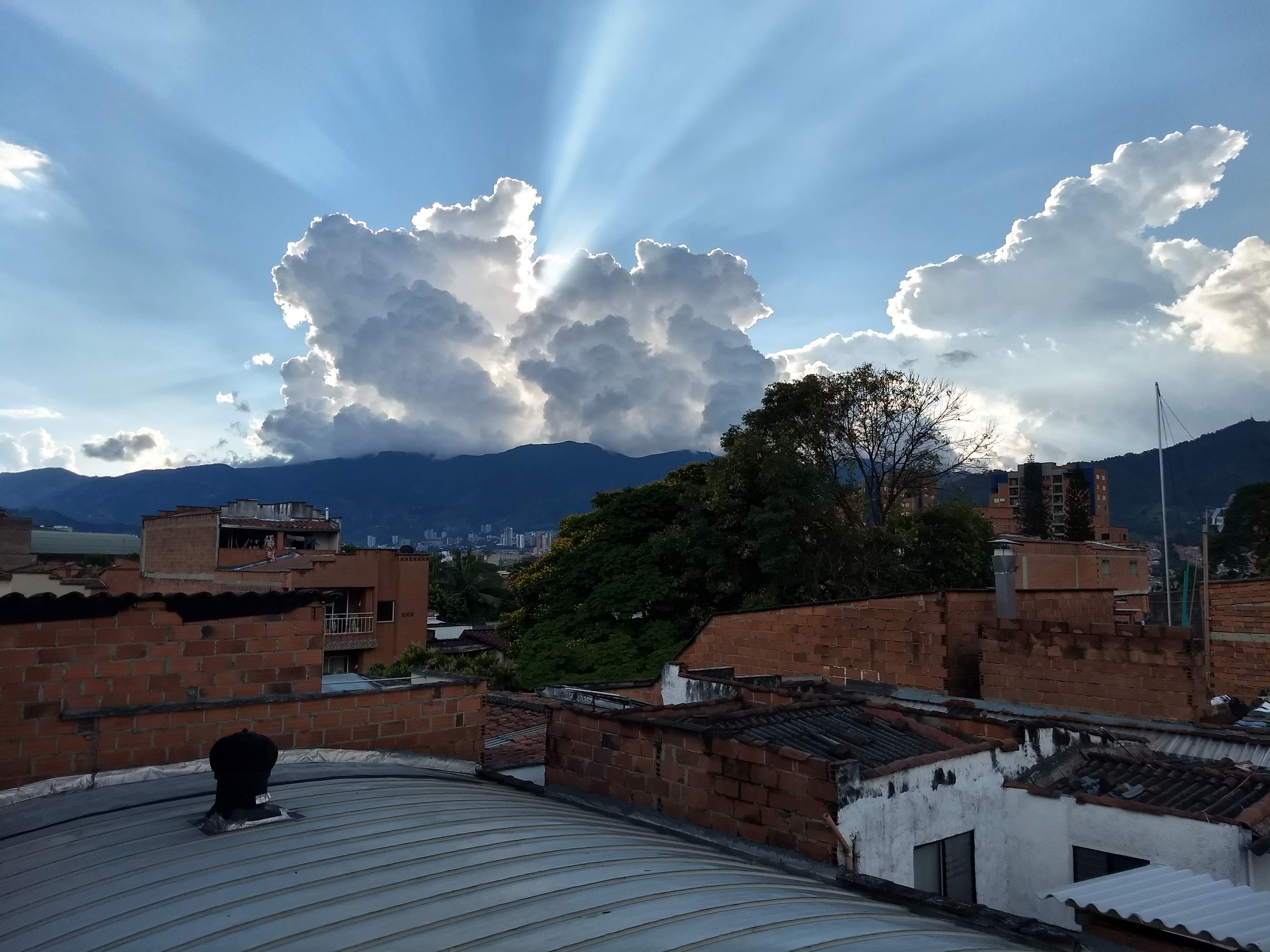 Colombian Orchid Adventures - Medellin 2019