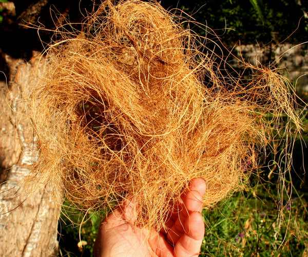 Coco Wattle Coconut Fiber Orchid Potting Media β Orchids for the People