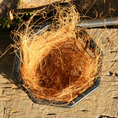 Shop Growing Supplies