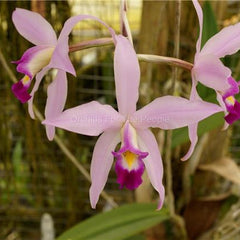 Shop New Arrivals and Recently Restocked