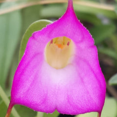 Shop Just a Few Left!