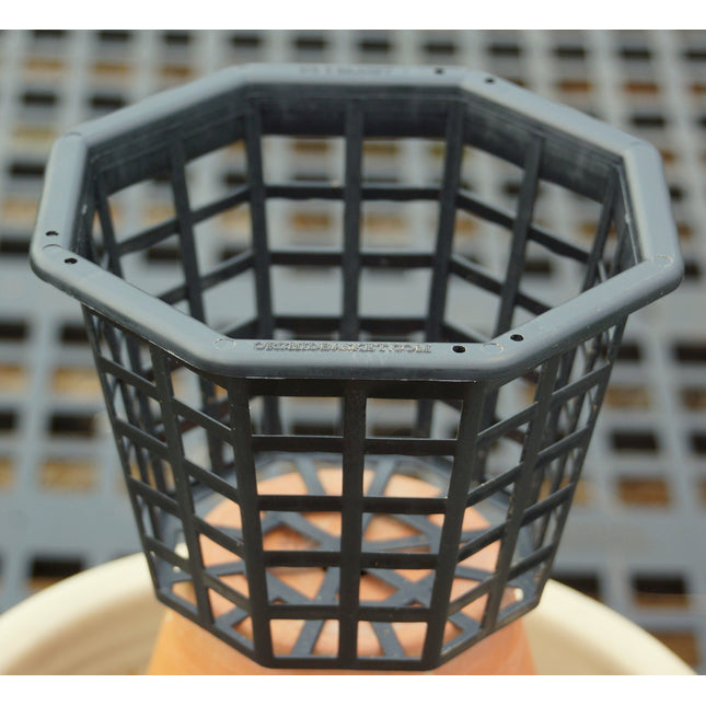 6" Octagonal Basket, Qty 5 - Orchids for the People
