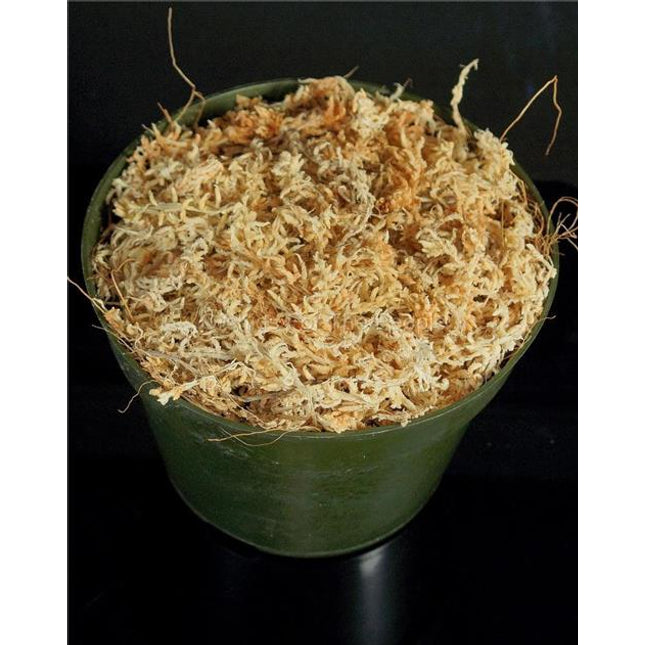 Deflasking Kit - Orchids for the People