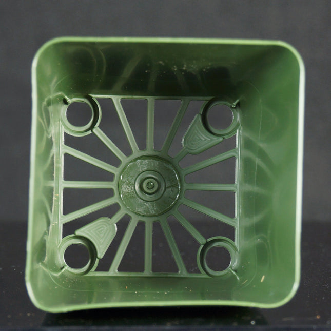 3.25" Waterdance Pots For Orchids - Orchids for the People